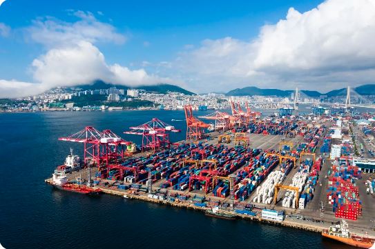 Why Import Agricultural Products from Vietnam