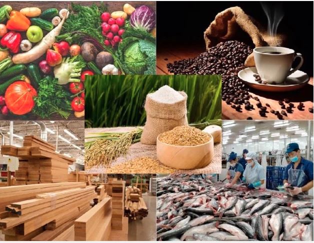 Top Agricultural Products Exported from Vietnam