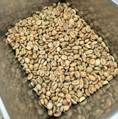 Robusta S18 & S16 Clean