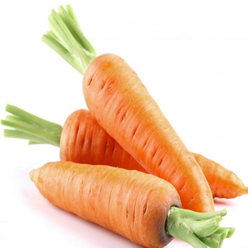 Fresh Carrot