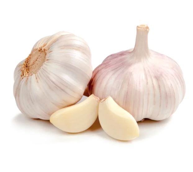 Fresh Garlic