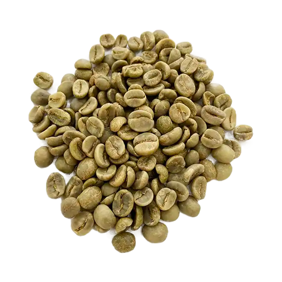 Robusta S18 & S16 Wet Polished