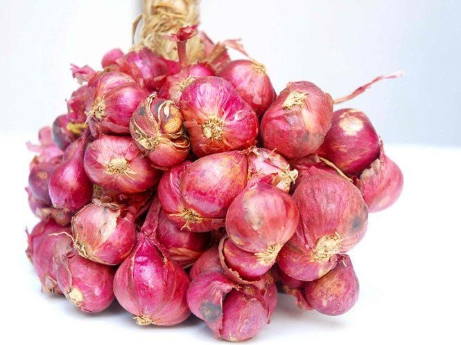 Shallots